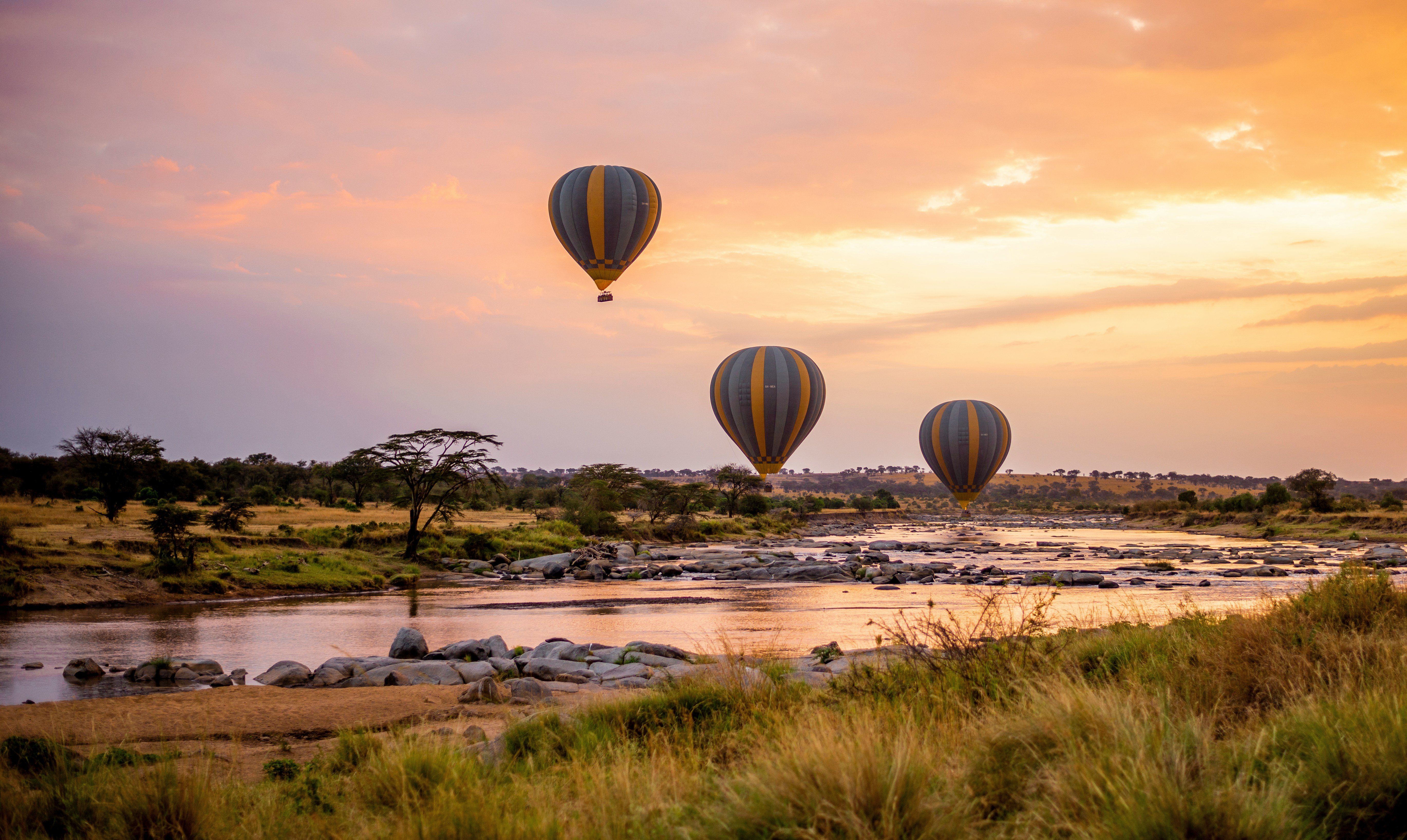 Serengeti sundowner