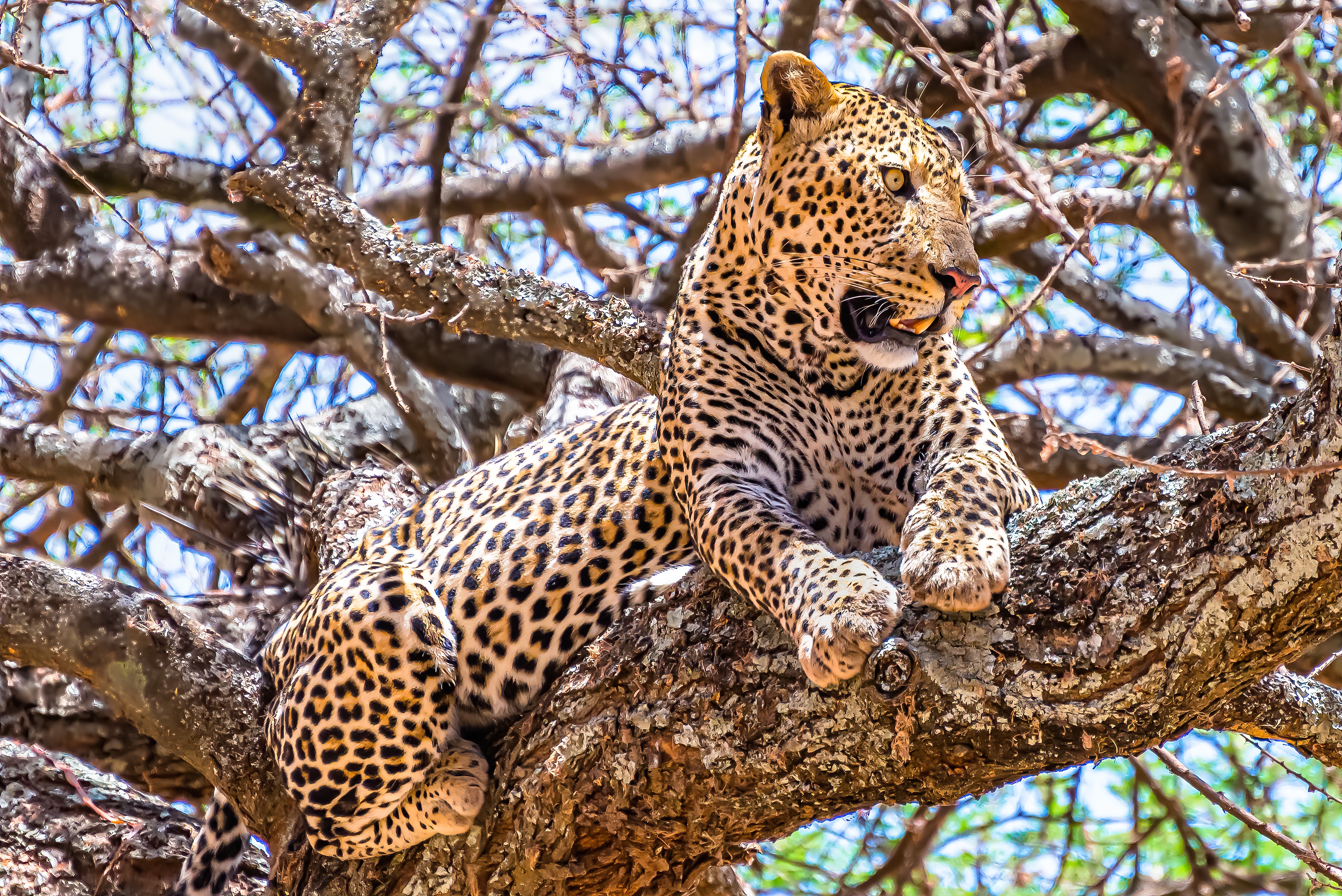 Budget Camping Safari Tanzania itinerary