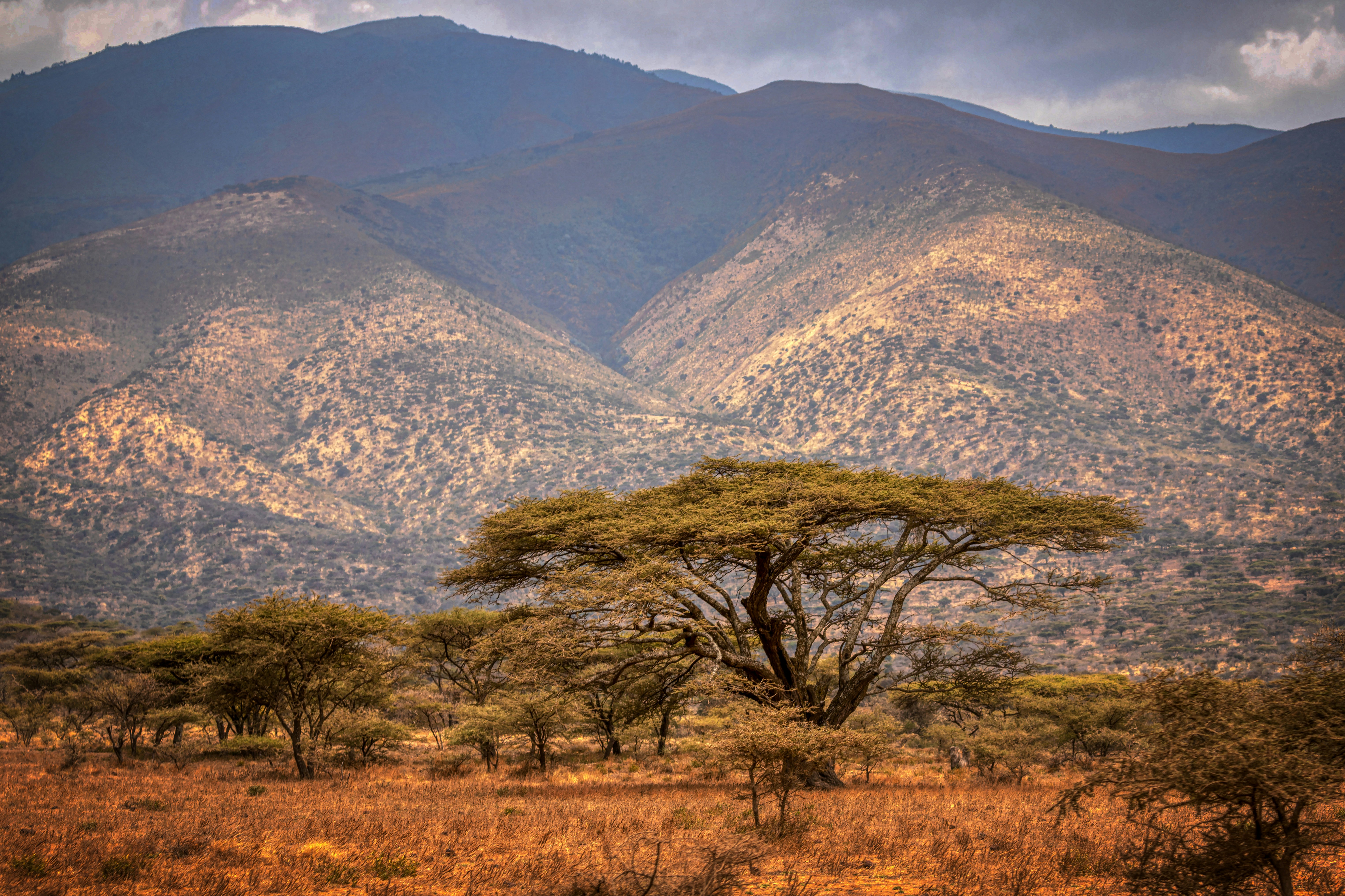 Tanzania safari company campfire bonding