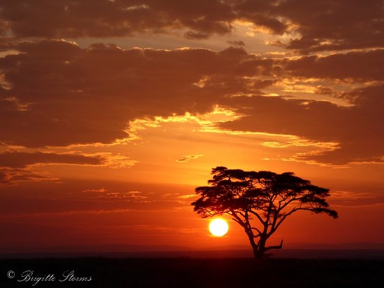 Serengeti campsite