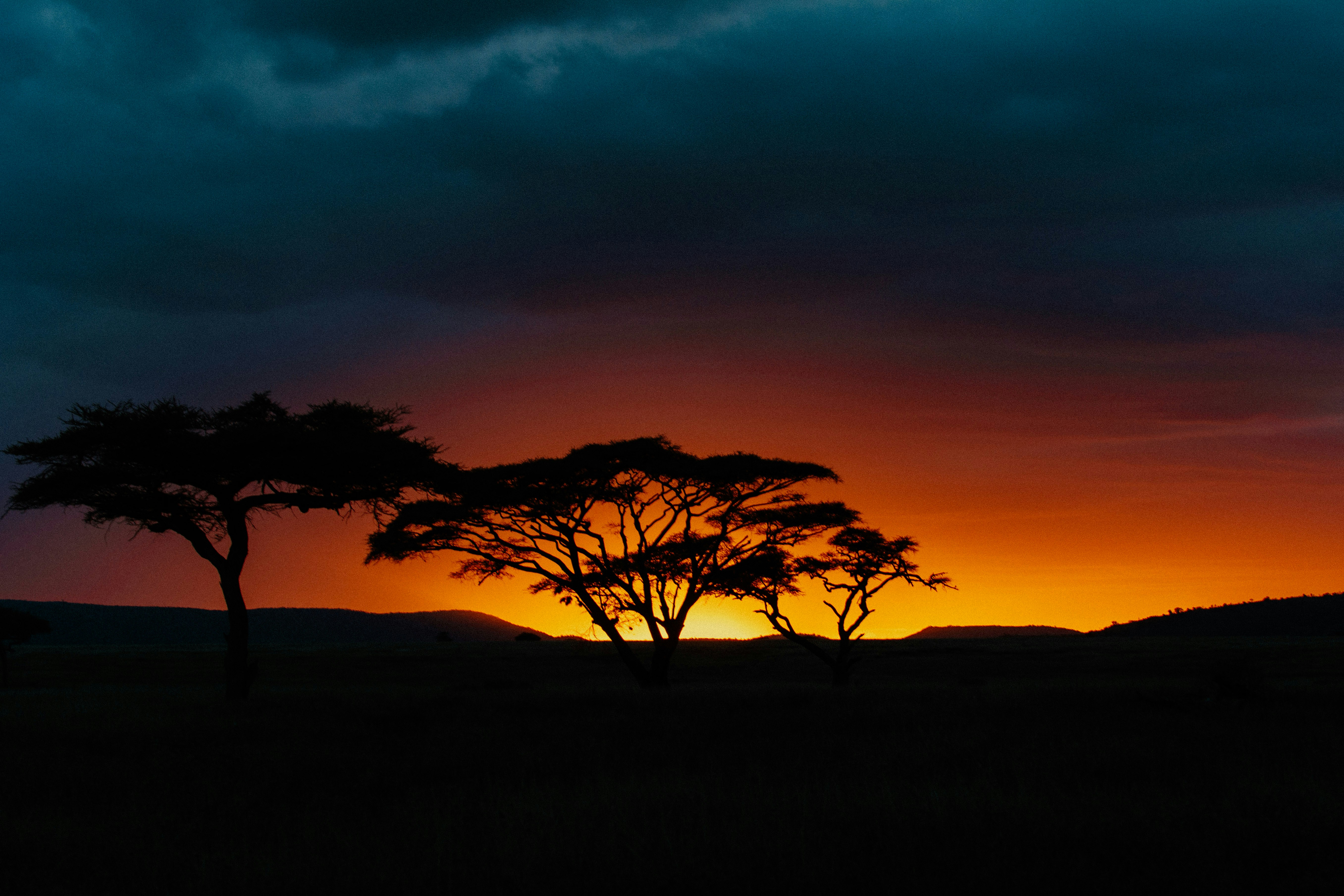 Tanzania safari landscapes Serengeti sunset