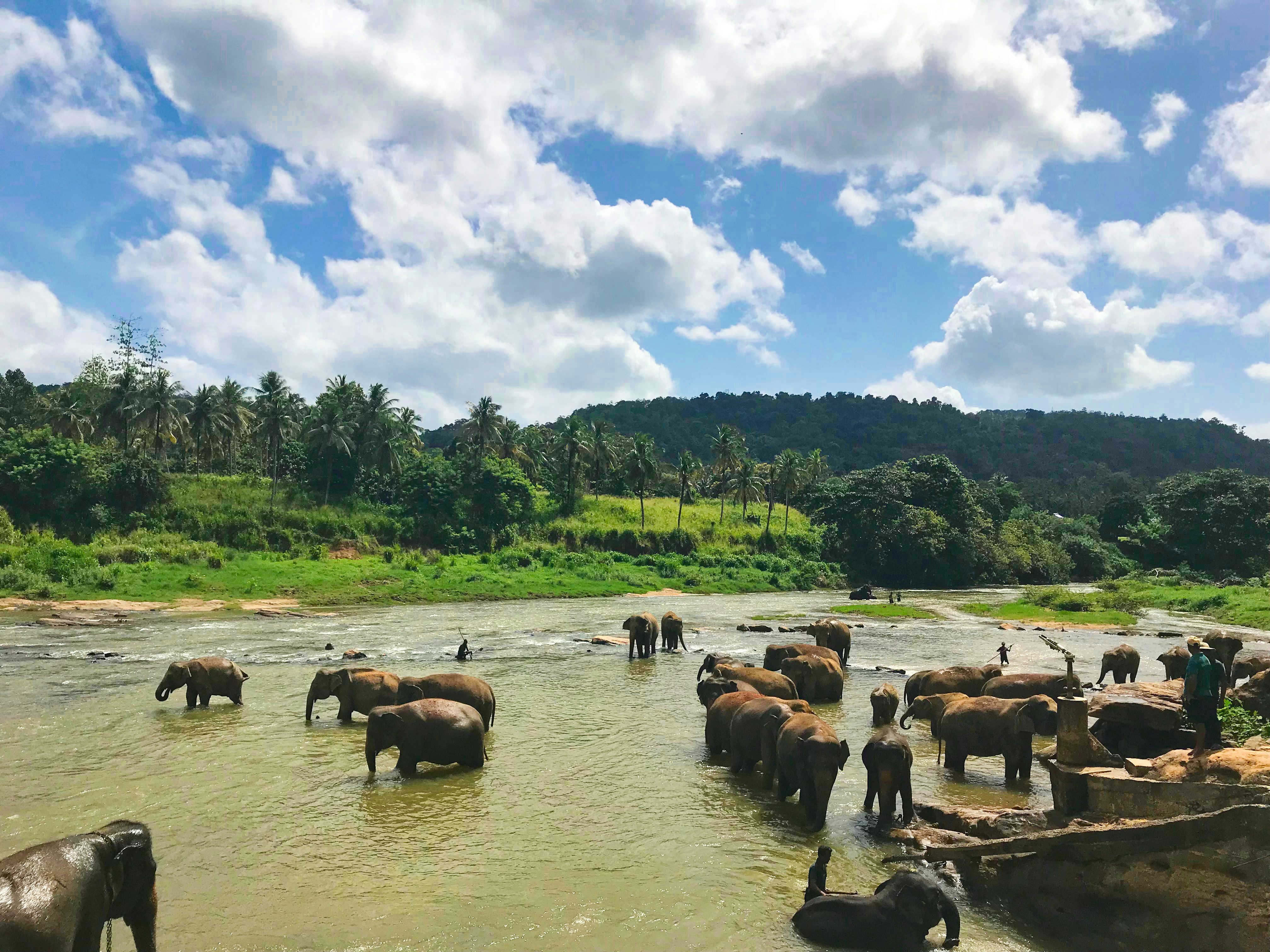 Ngorongoro crater lake Tanzania safari